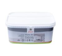 Peinture mur et plafond acrylique mat gris béton 2,5L Jafep