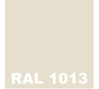 Peinture Mur Exterieur - Pot 5 L - Metaltop - 1013 - Blanc perle