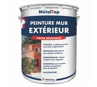 Peinture Mur Exterieur - Pot 5 L - Metaltop - 1015 - Ivoire - Ton pierre