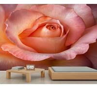 Peinture murale géante rose pêche rose murale 3D romantique art floral réaliste pour décoration d'intérieur, papier peint de style nature contemporain pour salon, chambre à coucher, 350 x 256 cm