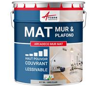 ARCANE INDUSTRIES Peinture Murale, Mat Blanche - 10 L Gris Clair - RAL 7035
