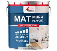 Peinture Murale Satinée Lessivable Mur et Plafond 10 L Gris Clair
