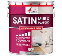 Peinture Murale Satinée Lessivable Mur et Plafond 10 L Gris Clair