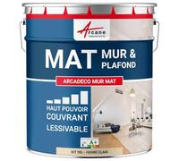 Peinture Murale Satinée Lessivable Mur et Plafond 10 L Ivoire Clair
