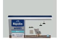 Peinture Murs, Boiseries, Radiateurs RIPOLIN Mat Gris lomé 2,5 L
