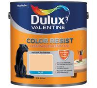 Peinture murs et boiseries mat - color résist - 2.5 L - aurore