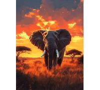 Peinture Numero Adulte - Afrique Peinture Numero Enfant Débutants, Éléphant DIY Kit Loisir Creatif Adultes, avec Toile Infroissable, Pinceaux et Pigment Acrylique, pour Décoration Maison 60x80 cm h-1