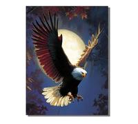Peinture Numero Adulte Aigle, DIY Peinture par Numero Adulte Kit Creatif Enfant ou débutants, avec 3 Pinceaux e 36 Acrylique pigmentée, Décoration Maison Cadeau Femme Abstrait 60 x 80 cm ZBSWK499