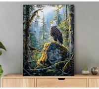 Peinture Numero Adulte, Aigle Peinture Par Numero Avec Cadre, DIY Loisirs Créatifs Adultes Paysage Paint by Numbers Avec Acrylique et Pinceaux pour Decoration Maison Murale, Cadeau 20x30cm Lf1-1762