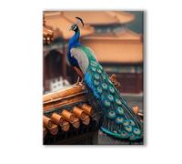 Peinture Numero Adulte Animal, Peinture Numero Adulte avec Cadre 45x60cm, 5D DIY Paon Paint by Numbers avec 3 Pinceaux et Acryliques, Loisirs Créatifs Adultes Decoration Murale, Cadeau Femme 0R-78