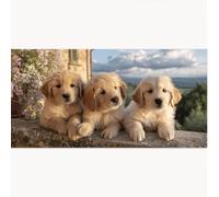 Peinture Numero Adulte Animal, Peinture par Numero Adulte Chien DIY Paint by Numbers avec Acryliques Créatifs Loisirs Peindre kits par Décoration de Maison Cadeaux 50x100cm, Sans Cadre 1T-1300