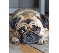 Peinture Numero Adulte Animaux, Chien Coloriage Par Numero Adulte, DIY Peinture Acrylique pour Débutants Facile sur Toile Avec Pigment Acrylique et Pinceaux Decoration Maison Cadeau 50x70cm, 1249