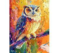 Peinture Numero Adulte Animaux Peinture Numero Enfant Hibou Activité Manuelle Adulte DIY Paint by Numbers Art Creatif Kit Cheerful Painting by Numbers Kits Cadeau Femme Decoration Murale 60x80cm B-45