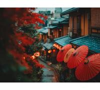 Peinture Numero Adulte Architecture, DIY Peinture Numero Vue De La Rue Activité Manuelle Adulte Kit avec Pinceaux et Pigment Acryliques, Paint by Numbers, Printemps Decoration Cadeau, 40x30cm G-5921