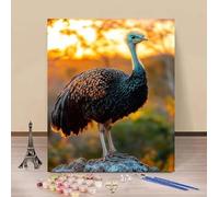 Peinture Numero Adulte Autruche Peinture par Numero Coucher De Soleil Paint by Numbers, Loisir Creatif Adulte DIY Kit Creatif Couleur Canevas Painting, Cadeau Femme Décora Sans Cadre 50x80cm E-339P1