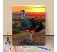 Peinture Numero Adulte Autruche Peinture par Numero Coucher De Soleil Paint by Numbers, Loisir Creatif Adulte DIY Kit Creatif Couleur Canevas Painting, Cadeau Femme Décora Sans Cadre 30x40cm J-H43L0
