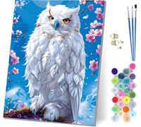 Peinture Numero Adulte avec Cadre Aigle, Peinture par Numero Adulte Fleur, DIY Loisirs Créatifs Adultes, Numero d'art Kits avec Pinceaux et Acryliques, pour Décoration Maison Cadeau 20x30cm P-2918