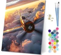 Peinture Numero Adulte avec Cadre Avion, Peinture Numero Nuage, Bricolage Activité Manuelle Adulte, Numero d'art Kits avec Pinceaux et Acryliques, Décoration de la Maison, Cadeau Femme 30x40cm 6-3271
