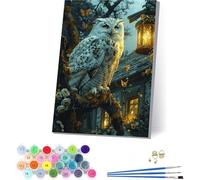 Peinture Numero Adulte avec Cadre Hibou, Peinture Numero Fleur, Bricolage Activité Manuelle Adulte, Numero d'art Kits avec Pinceaux et Acryliques, Décoration de la Maison, Cadeau Femme 40x50cm K-3308
