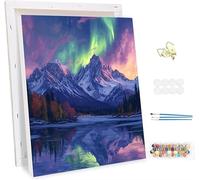 Peinture Numero Adulte avec Cadre, Les Aurores Boréales Peinture par Numero pour Adultes, DIY Vallée Paint by Numbers Enfant, avec Pinceaux et peintures acryliques, Decoration Maison 80x100cm -47175