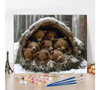 Peinture Numero Adulte Avec Cadre Ours Peinture Numero Neige, Kit de Bricolage Activite Manuelle Adulte Paint by Numbers par Débutants avec Accessoires pour Decoration Maison, Cadeau 100x70cm H-NY150