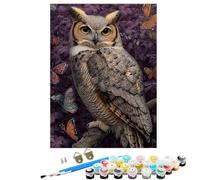 Peinture Numero Adulte avec Cadre Papillon, DIY Peinture par Numero Adulte Kit Creatif Enfant ou débutants, avec Pinceaux Acrylique pigmentée, Décoration Maison Maison Cadeau Hibou 60 x 80 cm KSWDK45
