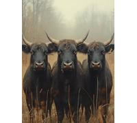 Peinture Numero Adulte BéTail Peinture Numéro Animal Activite Manuelle Adulte Canevas Kit Complet Paint by Numbers DIY Canevas Painting Art Creatif pour Decora, Cadeau Femme 40x60cm Sans Cadre 2-565J