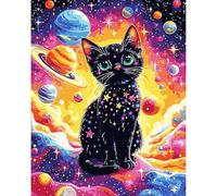 Peinture Numero Adulte Chat noir mignon de dessin animé, Kit de peinture par numéros pour débutants, Planètes colorées, DIY Peinture Acrylique Pour la Décoration de la Maison 30x40cm Sans Cadre