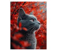 Peinture Numero Adulte Chat Toile Peinture Numero Enfant Animal Activité Manuelle Adulte Wall Art Supplies 60x80cm, Bricolage Couleur Paint by Numbers pour Cadeau Femme Decoration Murale model-1511