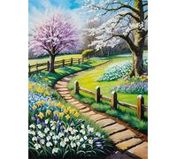 Peinture Numero Adulte,Chemin des champs de fleurs DIY Kits de Peinture au Numéro,Acrylique Peinture par Numéros avec Pinceaux Peinture Paint by Numbers pour Décor Maison et Cadeau avec cadre,40x50cm