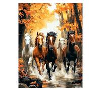 Peinture Numero Adulte Cheval, Toile Peinture Numero Enfant Débutants Animal, Canevas Kit Complet Adulte 40x30 Cm Avec Pinceaux et Acrylique, DIY Paint by Numbers pour Decoration Murale LSJ-2515