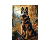 Peinture Numero Adulte Chien Loisirs CréAtifs Adultes avec Kit Pinceaux Peinture Acrylique et Toile a Peindre 70 x 50cm Animal Paint by Numbers for Adults pour Decoration Maison Cadeau Femme GYYH-4023