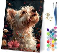 Peinture Numero Adulte Chien, Peinture Numero Animal, DIY Activité Manuelle Adulte, Paint by Numbers for Adults Kits avec Pinceaux et Peintures, Pour Décoration Maison, Cadeau Femme 30x40cm D-9566