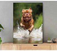 Peinture Numero Adulte, Chien Peinture Par Numero Avec Cadre, DIY Loisirs Créatifs Adultes Animal Paint by Numbers Avec Acrylique et Pinceaux pour Decoration Maison Murale, Cadeau 20x30cm Lf0-786