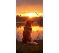 Peinture Numéro Adulte Chien Peinture par Numéro Coucher De Soleil Loisir Creatif Adulte, Painting by Numbers, DIY Canevas Travaux Manuels, Décoration Murale Cadeau Femme 70x140cm Sans Cadre 9-1331Q4