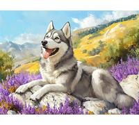 Peinture Numero Adulte Chien Peinture par Numero Enfant Animal,DIY Adulte Loisirs Créatifs Toile Peintures à l'huile Kits avec Acryliques et Pinceaux pour Débutants et Femme Cadeaux 30x50cm E1-1173