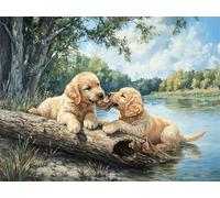Peinture Numero Adulte Chien Peinture par Numero Enfant Paysage,DIY Adulte Loisirs Créatifs Toile Peintures à l'huile Kits avec Acryliques et Pinceaux pour Débutants et Femme Cadeaux 40x50cm E1-1195