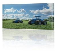 Peinture Numero Adulte Ciel bleu Voiture Peinture Enfant, loisirs Créatifs Adultes, DIY Peint à la Main kit de Peintures à l'huile, Coloriage Numero Art Peintures kit, Décoration Murale 25x50cm w-492