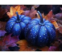 Peinture Numero Adulte citrouille bleu Kits de Peinture au Numéro avec 3 Pinceaux et Pigment Acrylique, DIY Activité Manuelle Adulte Numéro d'Art 50x70cm pour Decoration Maison Cadeau Femme L0-394