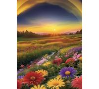 Peinture Numero Adulte,Colorful Daisy Field DIY Kits de Peinture au Numéro,Acrylique Peinture par Numéros avec Pinceaux Peinture Paint by Numbers pour Décoration Maison et Cadeau avec cadre,40x50cm