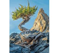 Peinture Numero Adulte, Coloriage Par Numero Adulte, Loisirs Créatifs Adultes Débutants, Kit de Peinture à L'huile sur Toile, Idée Cadeau Créatif pour Madame 30x40cm (Sans Cadre) Cyprès Pierres U-4