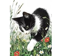 Peinture Numero Adulte, Coloriage Par Numero Adulte, Loisirs Créatifs Adultes Débutants, Kit de Peinture à L'huile sur Toile, Idée Cadeau Créatif pour Madame 35x55cm (Sans Cadre) chat pelouse U-448