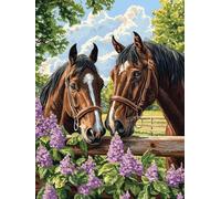 Peinture Numero Adulte, Coloriage Par Numero Adulte, Loisirs Créatifs Adultes Enfant, Kit de Peinture à L'huile sur Toile, Idée Cadeau Créatif pour Madame 80x100cm (Sans Cadre) Le cheval La ferme U432