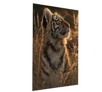 Peinture Numero Adulte, Coloriage par Numero Adulte Tigre, Paysage Kit Peinture avec Toile 50x70CM Pinceaux Peinture Acrylique Set, DIY Couleur Paint by Numbers pour Decoration Maison Model-07862