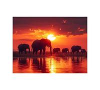 Peinture Numero Adulte Coucher de soleil Toile Peinture par Numero Enfant Débutant avec Toile Éléphant 40 x 55 cm Loisirs Créatifs Adultes Paint by Numbers Decoration Maison Cadeau Femme LZYH-10060