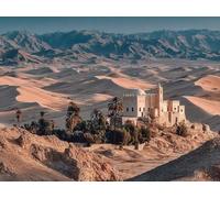 Peinture Numero Adulte DéSert, DIY Peinture Numero Architecture Activité Manuelle Adulte Kit avec Pinceaux et Pigment Acryliques, Paint by Numbers, Printemps Decoration, Cadeau Filles, 120x90cm 1-7088