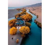 Peinture Numero Adulte DéSert, Usine Peinture Numero Enfant, DIY Loisirs Créatifs Adultes, Paint by Numbers Kits avec Pinceaux et Pigment Acryliques, Decoration Automne, Cadeau Femme, 50x70cm, Q-3831