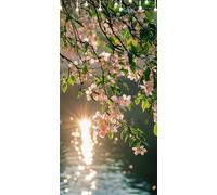 Peinture Numero Adulte Fleur De Pêche DIY Peinture par Numero Adulte Coucher De Soleil Tableau a Peindre Acrylique pour Adultes, Sans Cadre 50X100cm avec Peintures et Pinceaux Décoration Murale W6-653