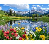 Peinture Numero Adulte fleur paysage Kits de Peinture au Numéro avec 3 Pinceaux et Pigment Acrylique, DIY Activité Manuelle Adulte Numéro d'Art 90x120cm pour Decoration Maison Cadeau Femme L0-178