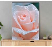 Peinture Numero Adulte, Fleur Peinture Par Numero Avec Cadre, DIY Loisirs Créatifs Adultes Paysage Paint by Numbers Avec Acrylique et Pinceaux pour Decoration Maison Murale, Cadeau 60x80cm LfQ-3831